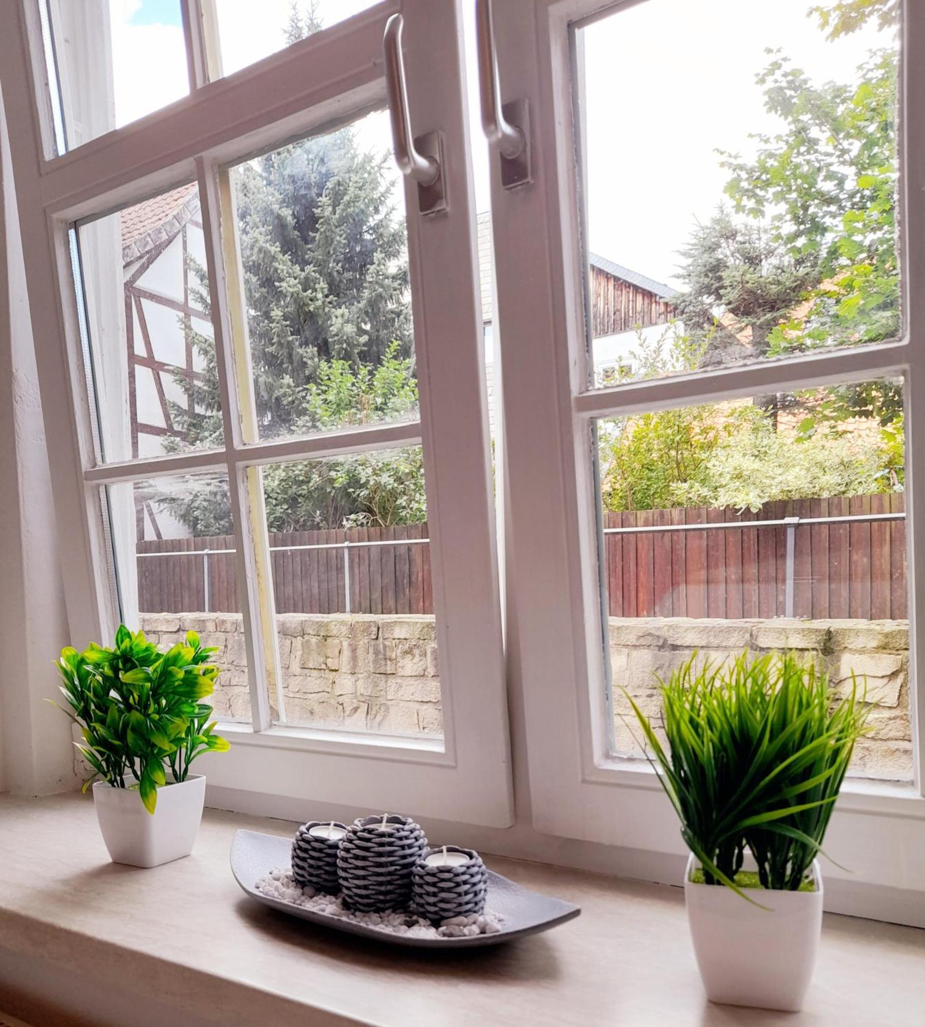 Ferienwohnung "Beste Lage" Altstadt Mit Terrasse 戈斯拉尔 外观 照片