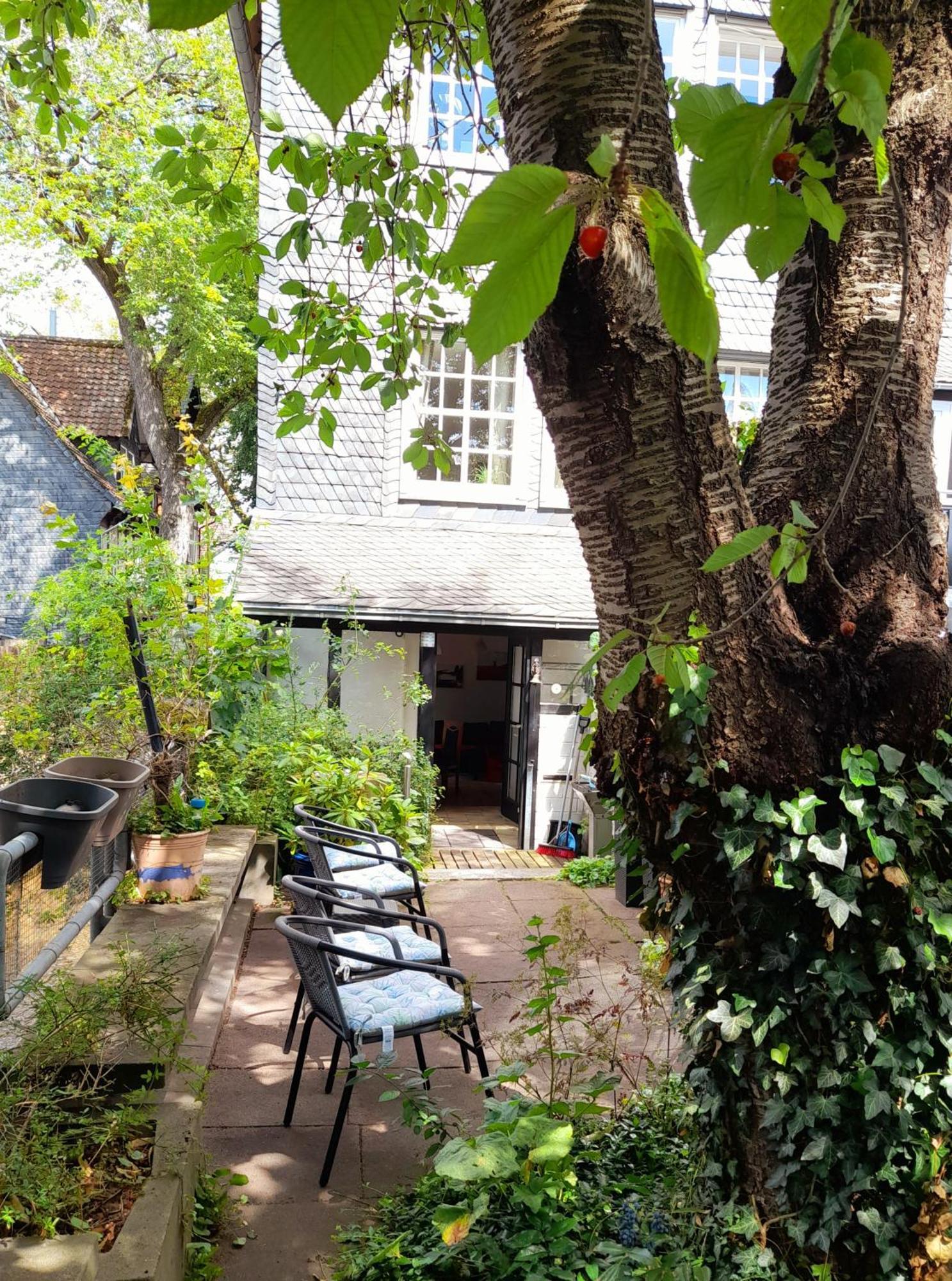 Ferienwohnung "Beste Lage" Altstadt Mit Terrasse 戈斯拉尔 外观 照片