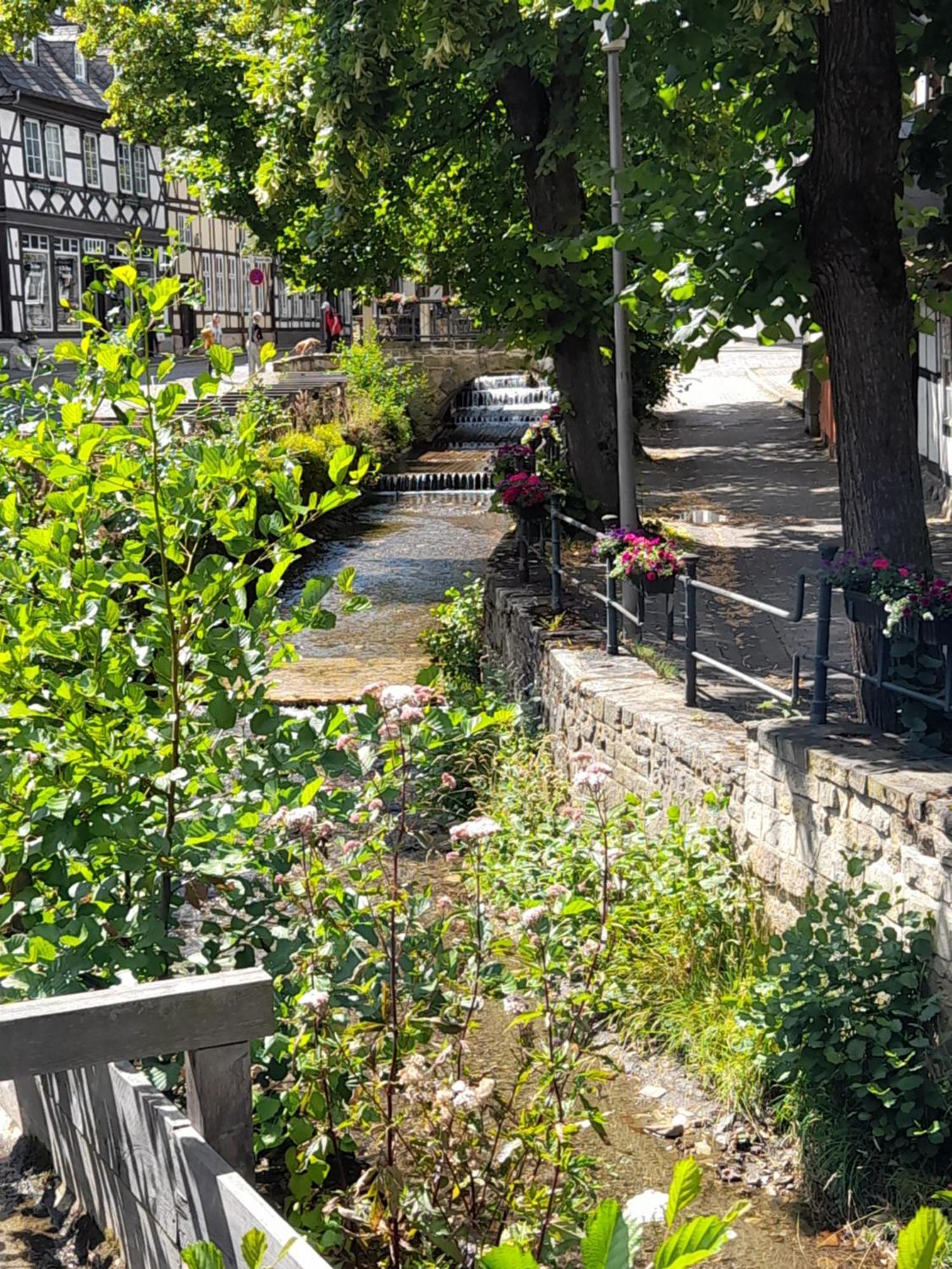 Ferienwohnung "Beste Lage" Altstadt Mit Terrasse 戈斯拉尔 外观 照片